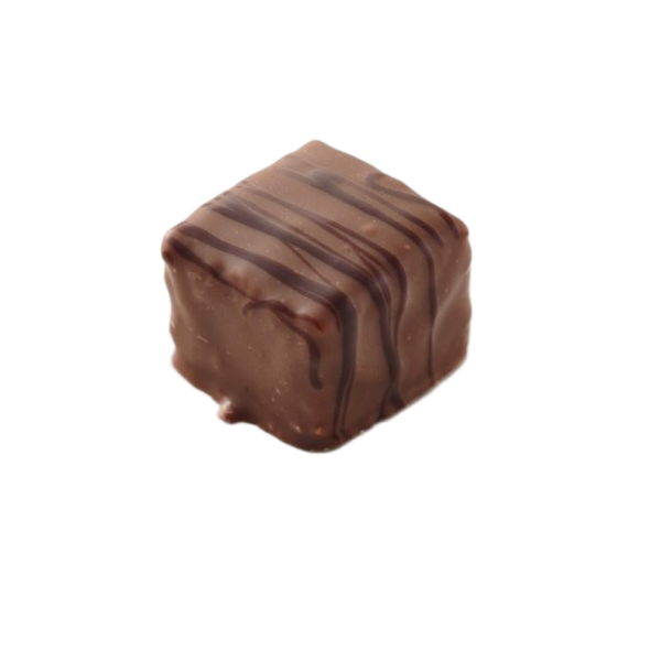 Dominosteine mit Nougat von Jungermann Gourmet – Originalaufnahme des Gebäcks mit sichtbarer Form und Oberfläche.