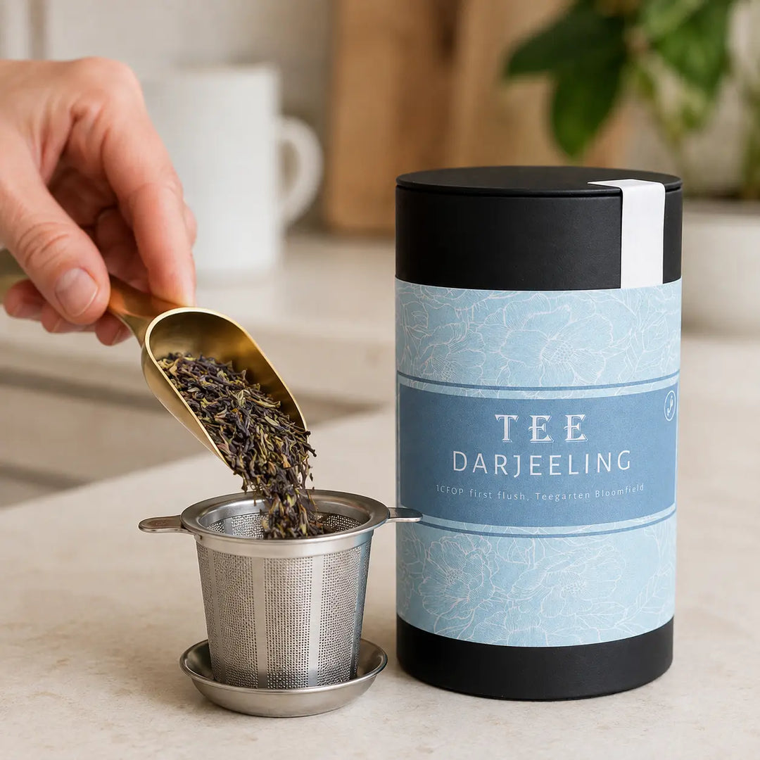 First-Flush Darjeeling Tee wird neben der Jungermann Gourmet Teedose dosiert