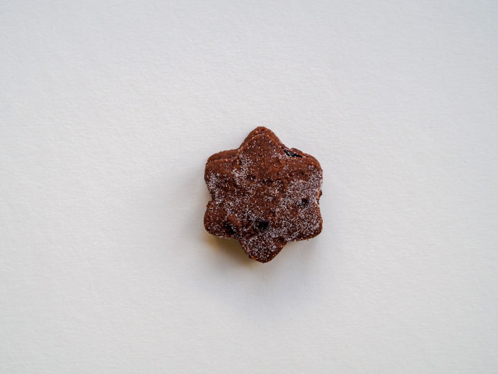 Schokosterne von Jungermann Gourmet – Originalaufnahme des Gebäcks mit sichtbarer Form und Oberfläche.